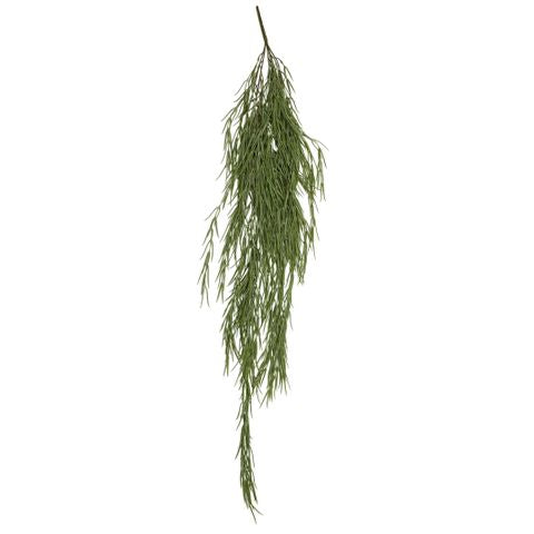 hanging pencil cactus Hanging Pencil Cactus – House of Holabox