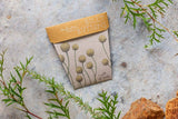 Billy Buttons Gift of Seeds (Australia Only)