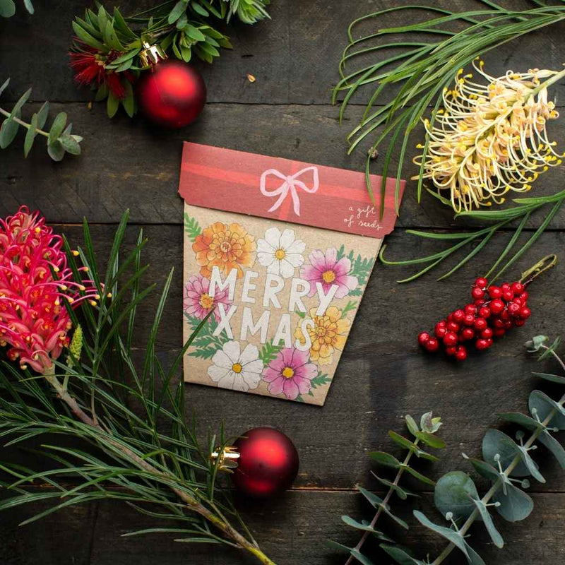 Xmas Blooms Gift of Seeds (Australia Only)
