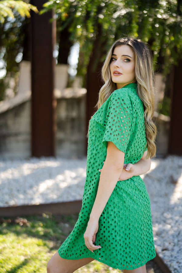 Steva Shirt Dress