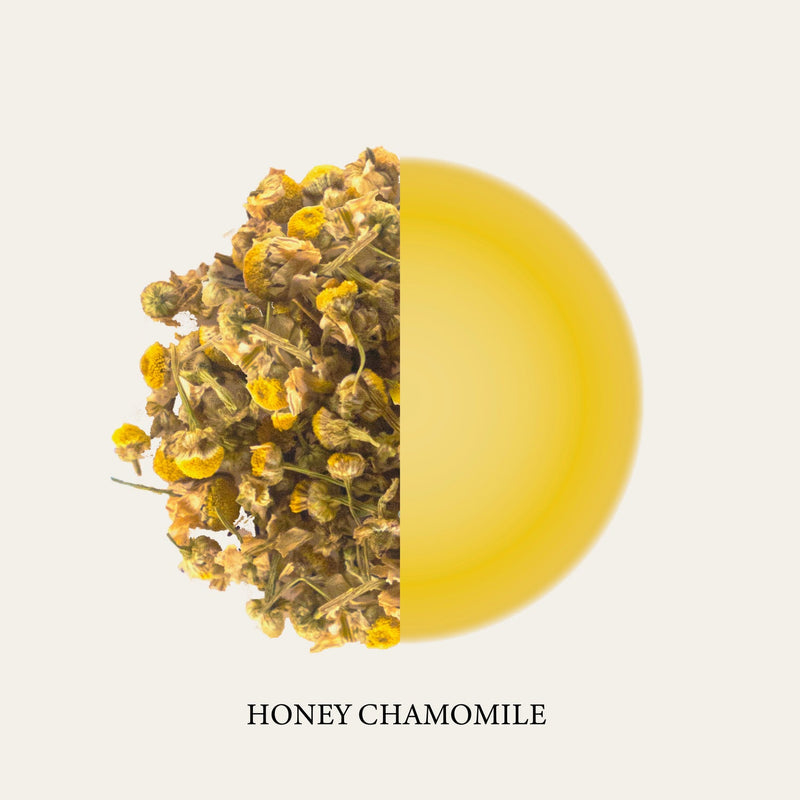 'Known Stranger' Chamomile Lover