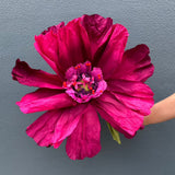Dancing Flower - Extra Large - Purple