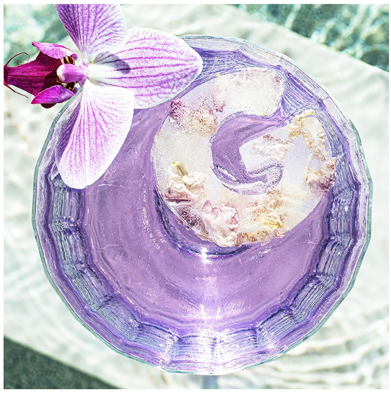 ‘Drinks Plinks’ Letter G Is For GIN Silicone Trays