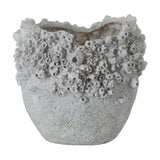 ‘Almafi’ Primrose Vessel Vase