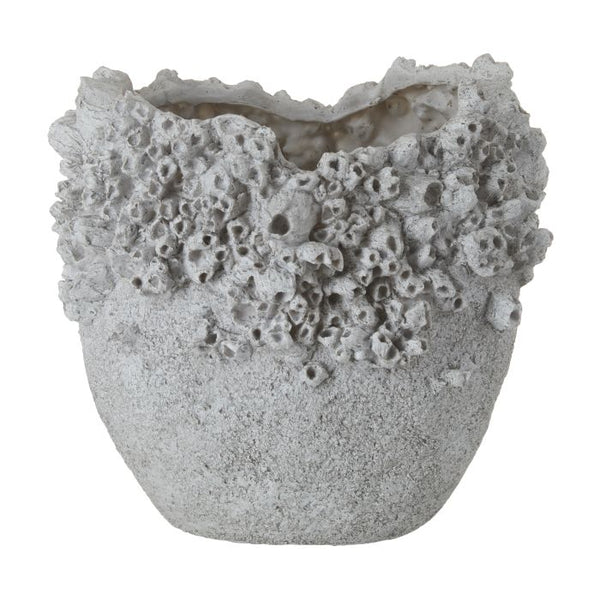 ‘Almafi’ Primrose Vessel Vase