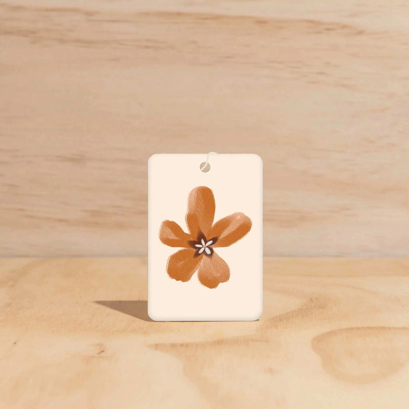 ‘The Commonfolk’ Air Freshners - Assorted Vibes