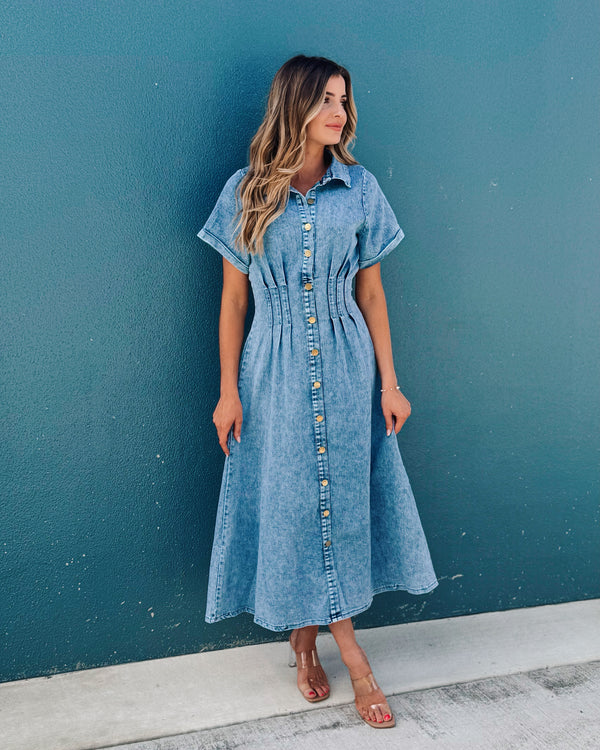 Flynn Denim Maxi Dress