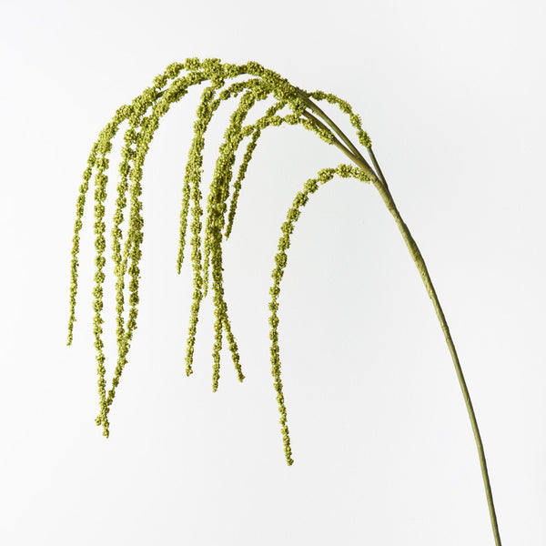 Amaranthus Spray Green