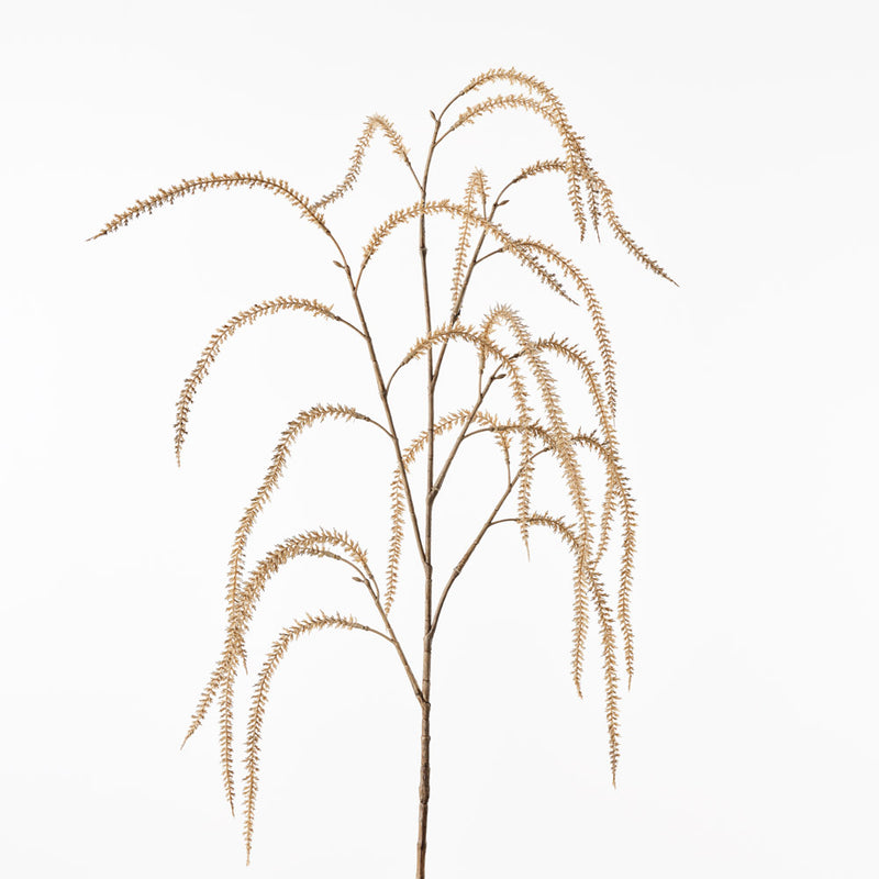 Amaranthus Spray Natural