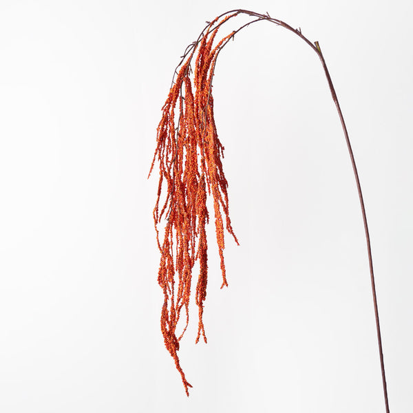 Amaranthus Spray Orange