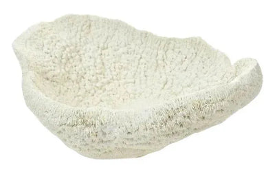 Anemone Coral Sculpture Dish
