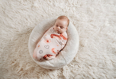 ‘ArchNOllie’ Love Bug Swaddle