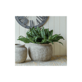 Arlen Plant Pot-House of Holabox