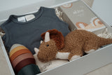 Baby Roar-House of Holabox