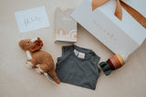 Baby Roar-House of Holabox