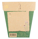 Christmas Herbs Gift of Seeds (Australia Only)