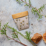 Billy Buttons Gift of Seeds (Australia Only)-House of Holabox