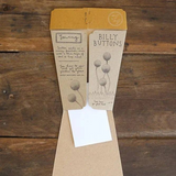 Billy Buttons Gift of Seeds (Australia Only)-House of Holabox