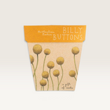 Billy Buttons Gift of Seeds (Australia Only)-House of Holabox
