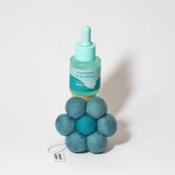 'Bloom by Grace and James' Air Freshener Collection - Assorted Scents-Geranium and Sea Moss-House of Holabox
