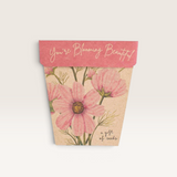 Blooming Beautiful Gift of Seeds (Australia Only)-House of Holabox