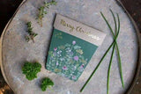 Christmas Herbs Gift of Seeds (Australia Only)-House of Holabox
