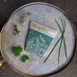 Christmas Herbs Gift of Seeds (Australia Only)-House of Holabox