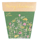 Christmas Herbs Gift of Seeds (Australia Only)-House of Holabox