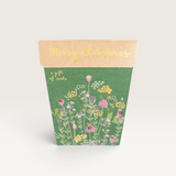Christmas Herbs Gift of Seeds (Australia Only)-House of Holabox