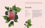 Cocktails Botanica - 60+ Drinks Inpired By Nature-House of Holabox