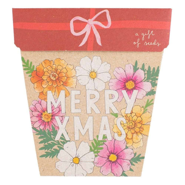 Xmas Blooms Gift of Seeds (Australia Only)