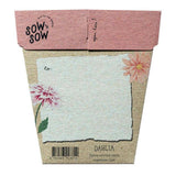 Dahlia Gift of Seeds (Australia Only)-House of Holabox