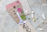 Dahlia Gift of Seeds (Australia Only)-House of Holabox