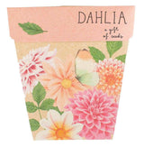 Dahlia Gift of Seeds (Australia Only)-House of Holabox