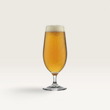 ‘Ecology’ Classic Stem Beer Glass-House of Holabox