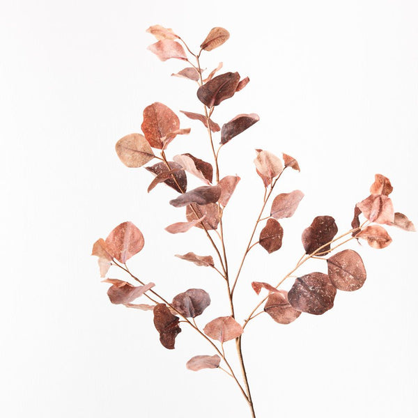 Artificial eucalyptus spray in brown with preserved faux leaves for decorative use