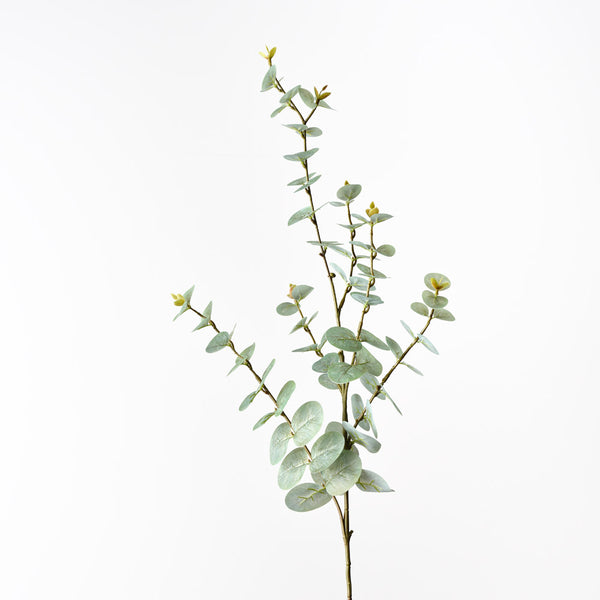 Eucalyptus Spray Grey Green