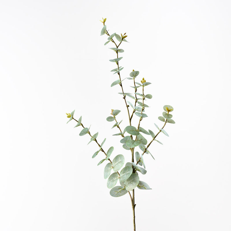 Eucalyptus Spray Grey Green