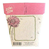 Everlasting Daisy Gift of Seeds (Australia Only)-House of Holabox