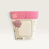 Everlasting Daisy Gift of Seeds (Australia Only)-House of Holabox