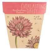 Everlasting Daisy Gift of Seeds (Australia Only)-House of Holabox