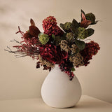 Fennel Flower Spray Natural-House of Holabox
