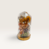 Floral Cloche + Bell - Assorted-House of Holabox