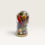 Floral Cloche + Bell - Assorted-House of Holabox