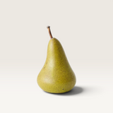 ‘Floral Interiors’ Elvi Pears - 2 Sizes-11X7cm-House of Holabox