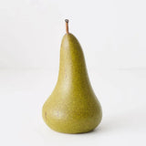 ‘Floral Interiors’ Elvi Pears - 2 Sizes-17x9cm-House of Holabox