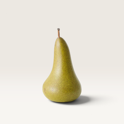 Floral Interiors | Elvi Pears - 2 Sizes – 17x9cm