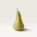 ‘Floral Interiors’ Elvi Pears - 2 Sizes-17x9cm-House of Holabox