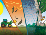 George the Farmer Plants a Wheat Crop Picture Book-House of Holabox