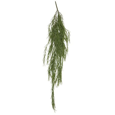 Hanging Pencil Cactus